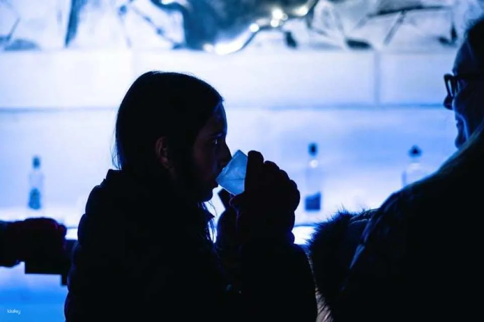 XtraCold Berlin Icebar tickets with complimentary drinks