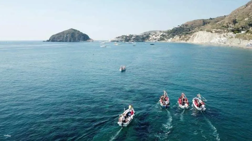 Guided tour of the Aragonese Castle