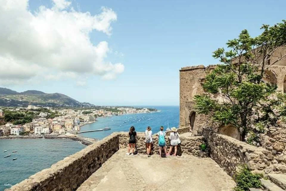 Guided tour of the Aragonese Castle