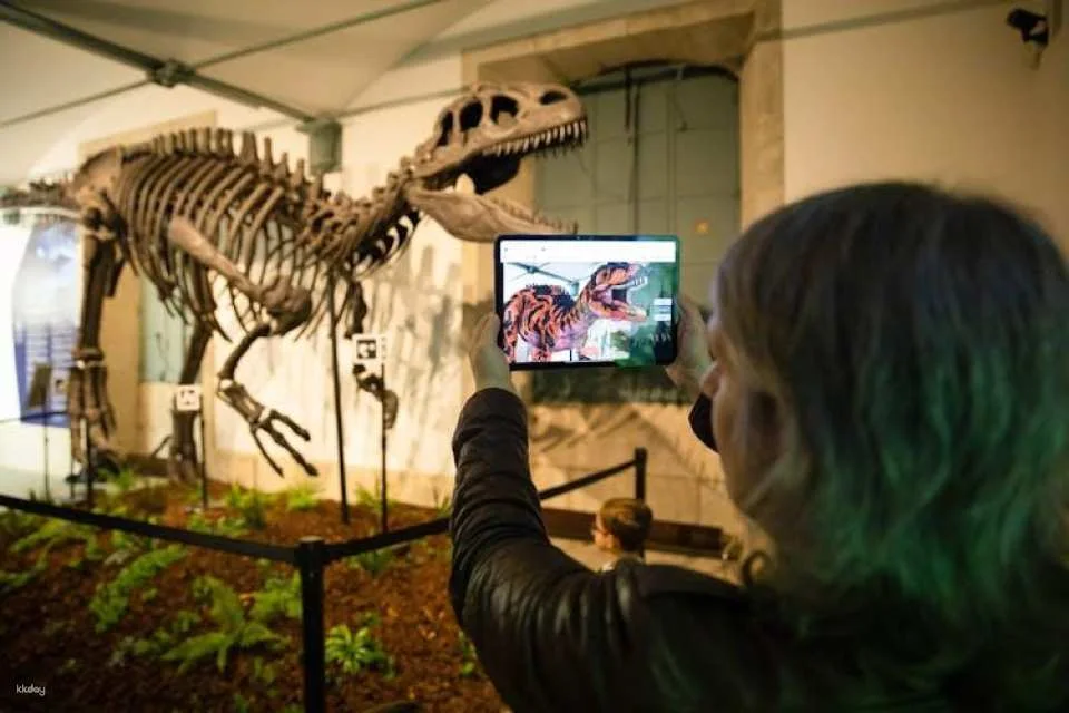 Ticket for Dino Experience in Porto