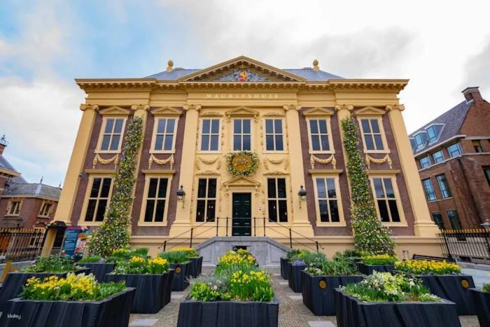 Mauritshuis The Hague entrance ticket