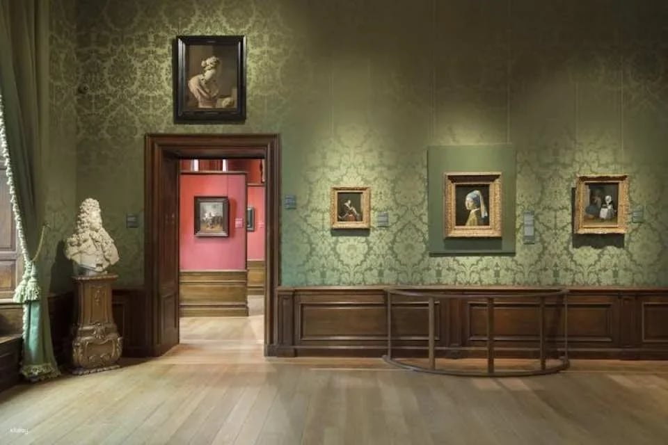Mauritshuis The Hague entrance ticket