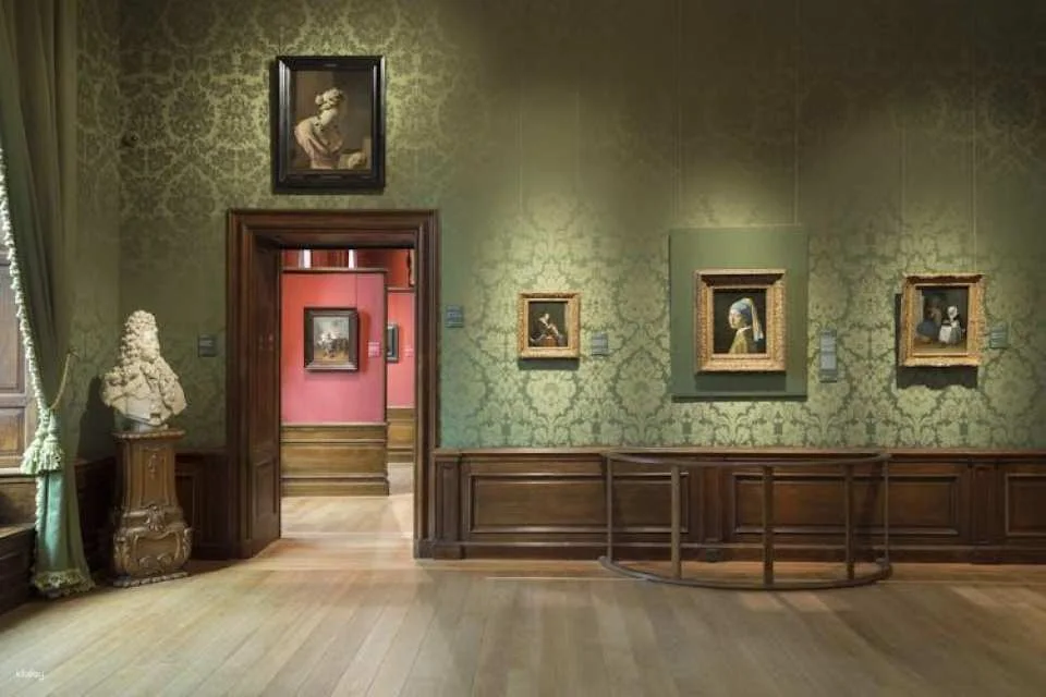 Mauritshuis The Hague entrance ticket