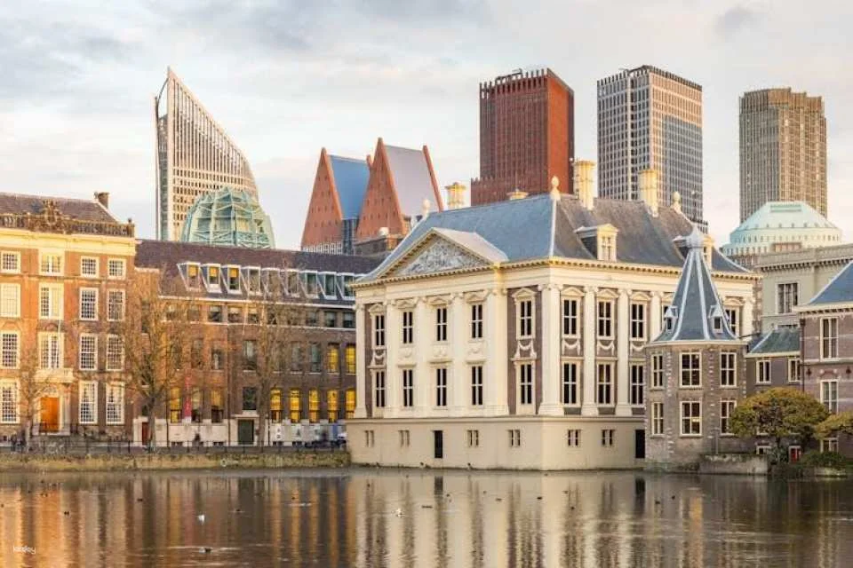 Mauritshuis The Hague entrance ticket