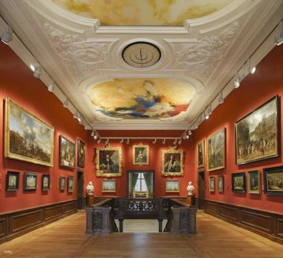 Mauritshuis The Hague entrance ticket