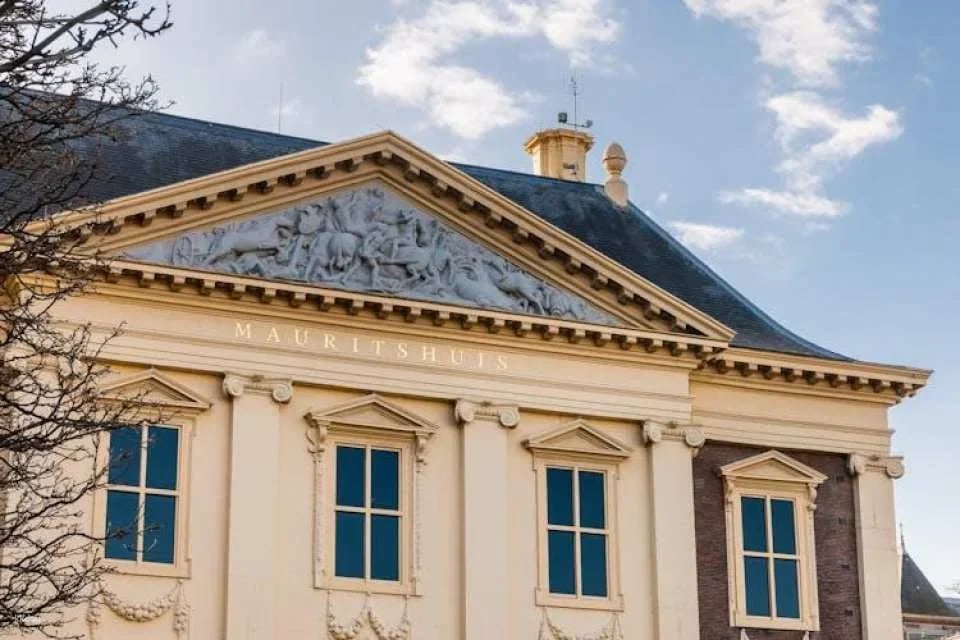 Mauritshuis The Hague entrance ticket