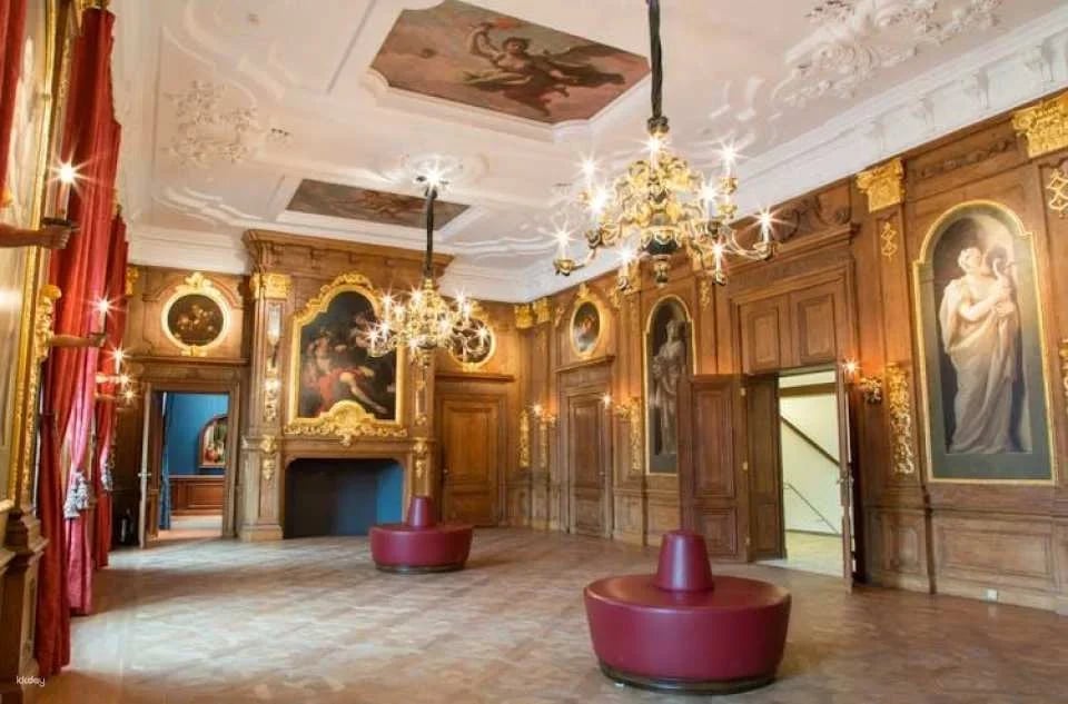 Mauritshuis The Hague entrance ticket
