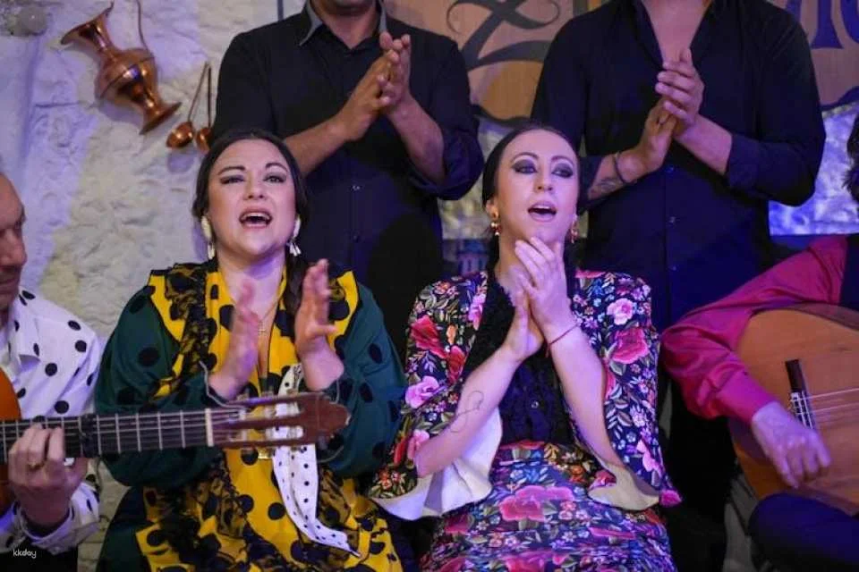 Zincalé Flamenco Show in a Sacromonte Neighbourhood Cave