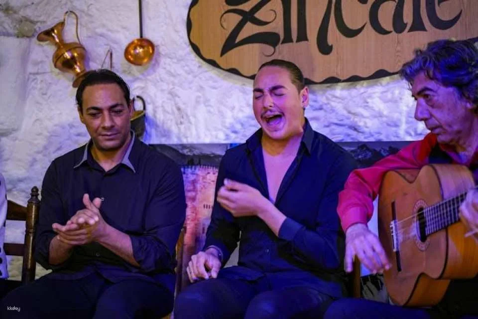 Zincalé Flamenco Show in a Sacromonte Neighbourhood Cave