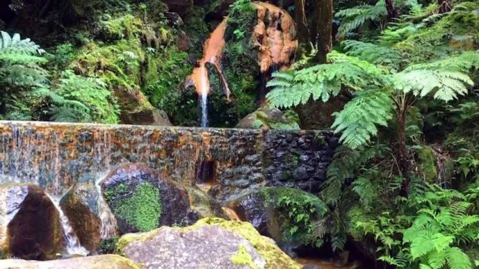 Full-day watching tour with lunch and hot springs at the Lagoa do Fogo