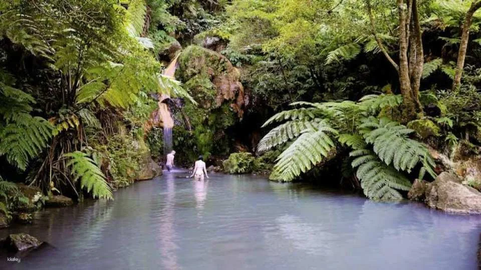 Full-day watching tour with lunch and hot springs at the Lagoa do Fogo