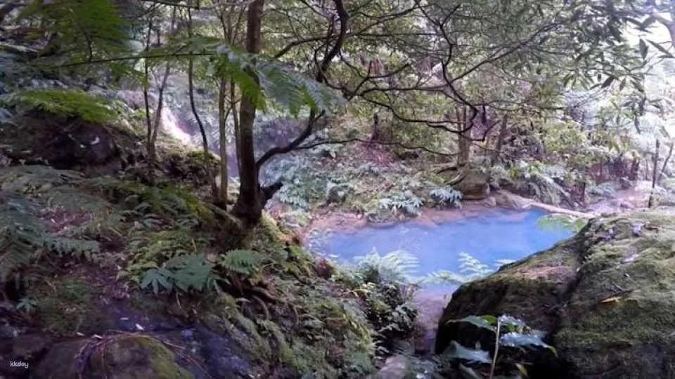 Full-day watching tour with lunch and hot springs at the Lagoa do Fogo