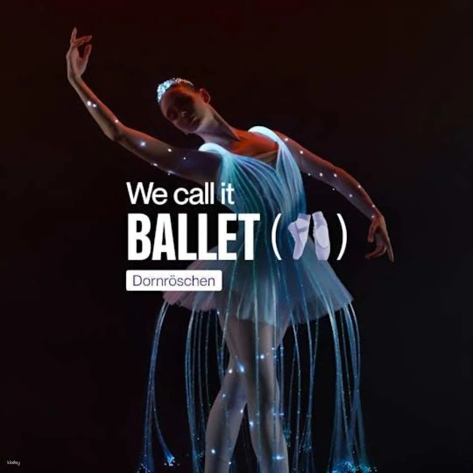 'We Call It Ballet' Sleeping Beauty Performance in Dresden