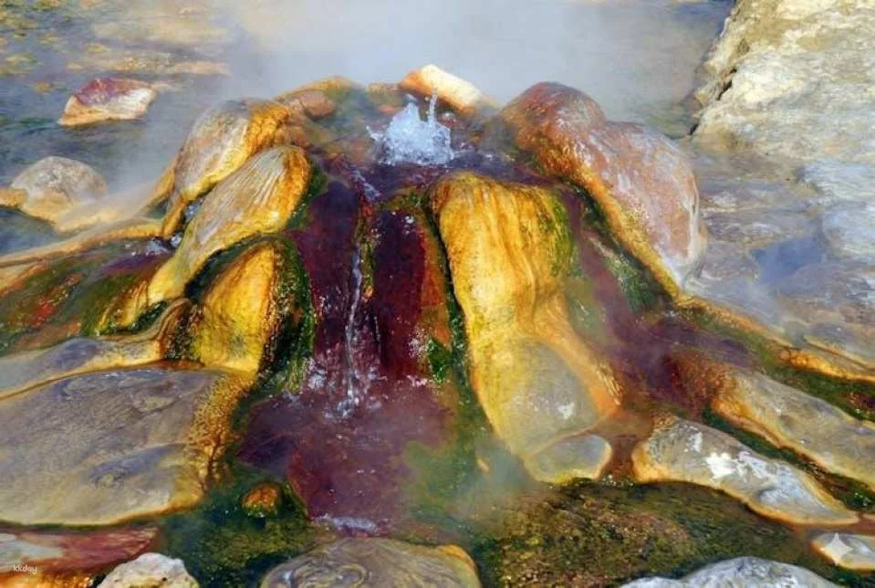 Daily guided Pamukkale tour with pick-up from Denizli Airport