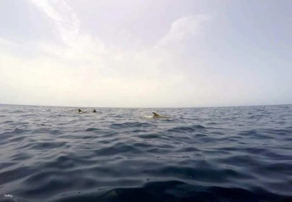Atlantis Diving Kayaking Tour with Katayak