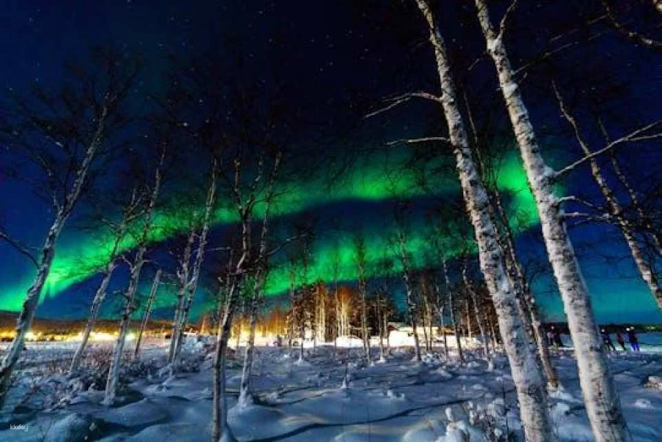 Musement Northern Lights tour