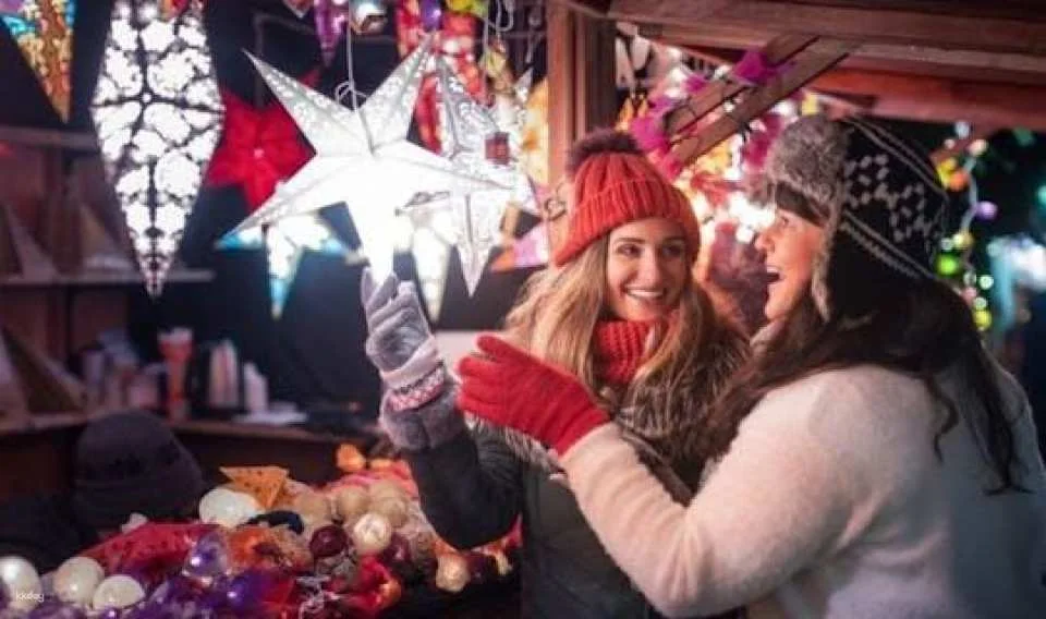 Private Christmas walk of the Winter Wonders in Brussels