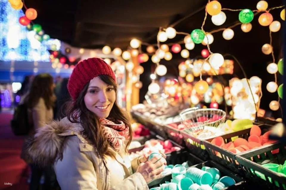 Private Christmas walk of the Winter Wonders in Brussels