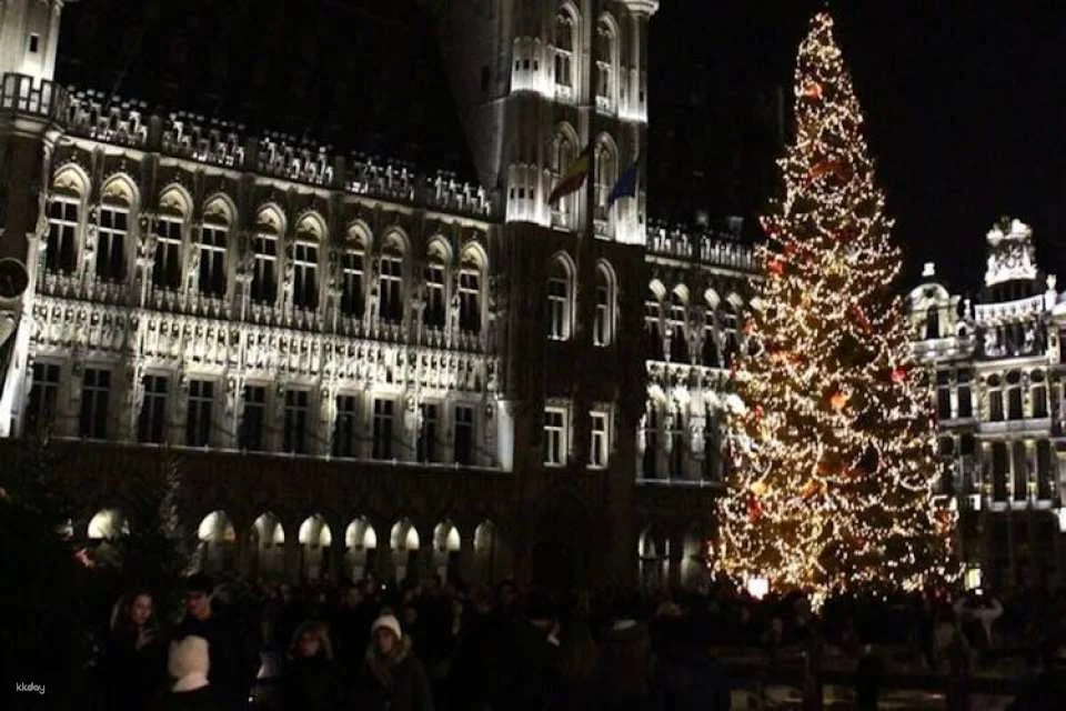 Private Christmas walk of the Winter Wonders in Brussels