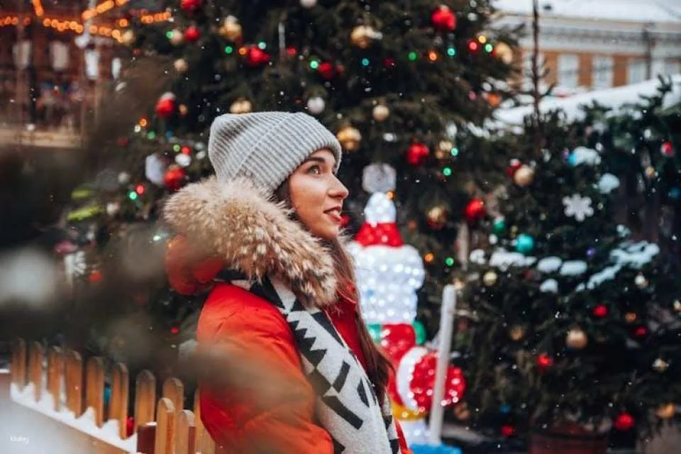 Private Christmas walk of the Winter Wonders in Brussels
