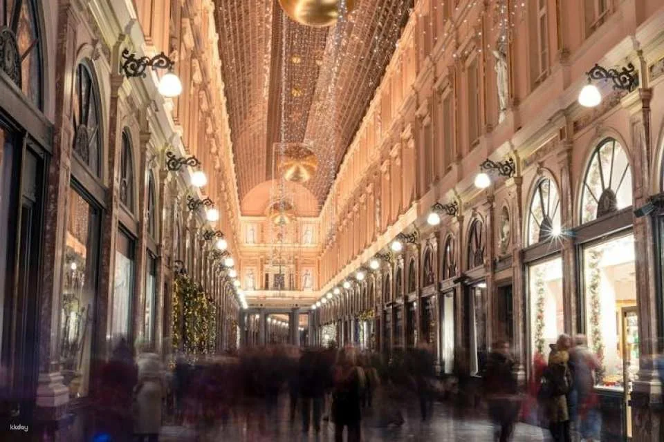 Private Christmas walk of the Winter Wonders in Brussels