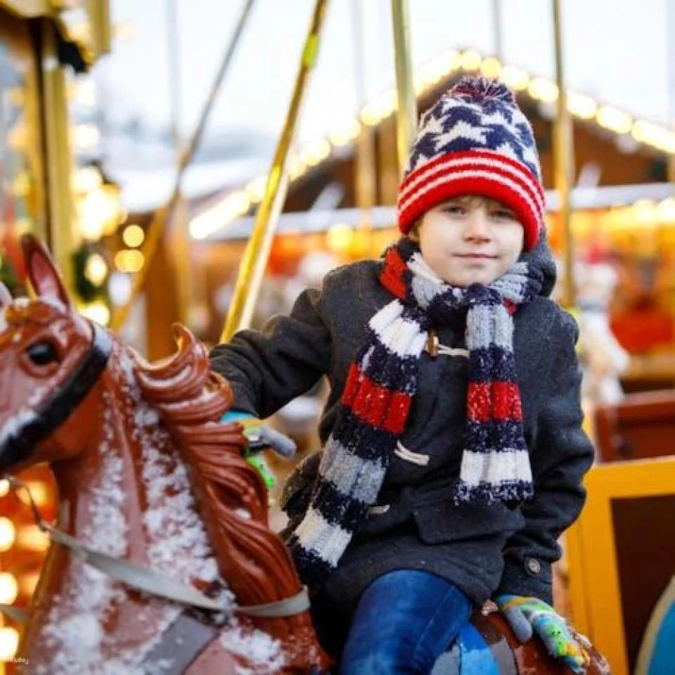 Hamburg Christmas markets private walking tour with mulled wine