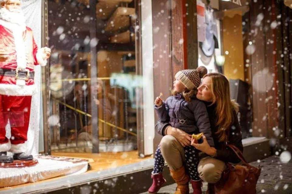 Hamburg Christmas markets private walking tour with mulled wine