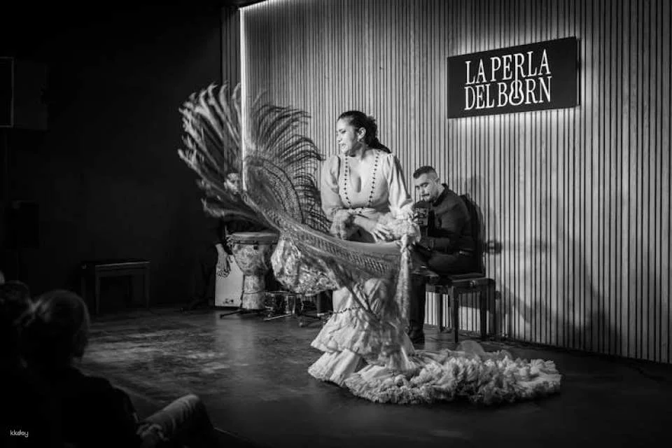 Barcelona La Perla del Born Flamenco show