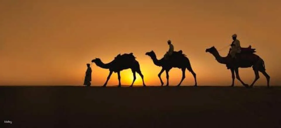 Champagne private desert safari at Bassata Camp from Ras Al Khaimah (605703)