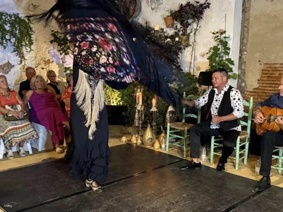 Flamenco show "Vive Ayamonte" with tapas dinner