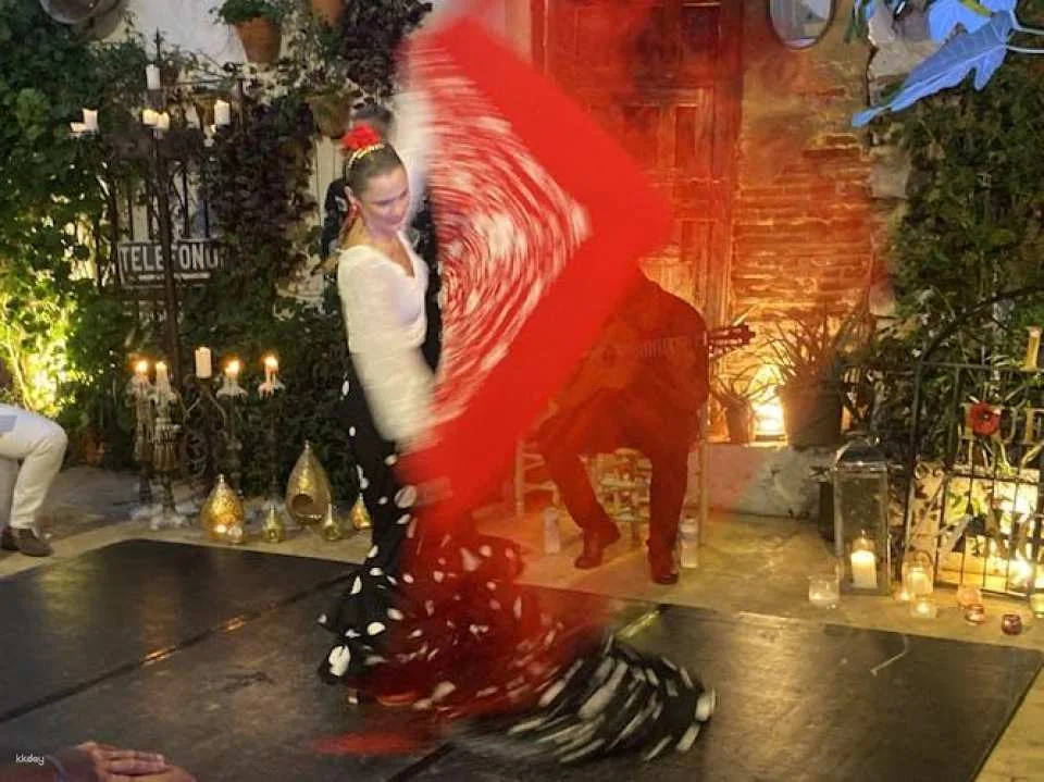 Flamenco show "Vive Ayamonte" with tapas dinner