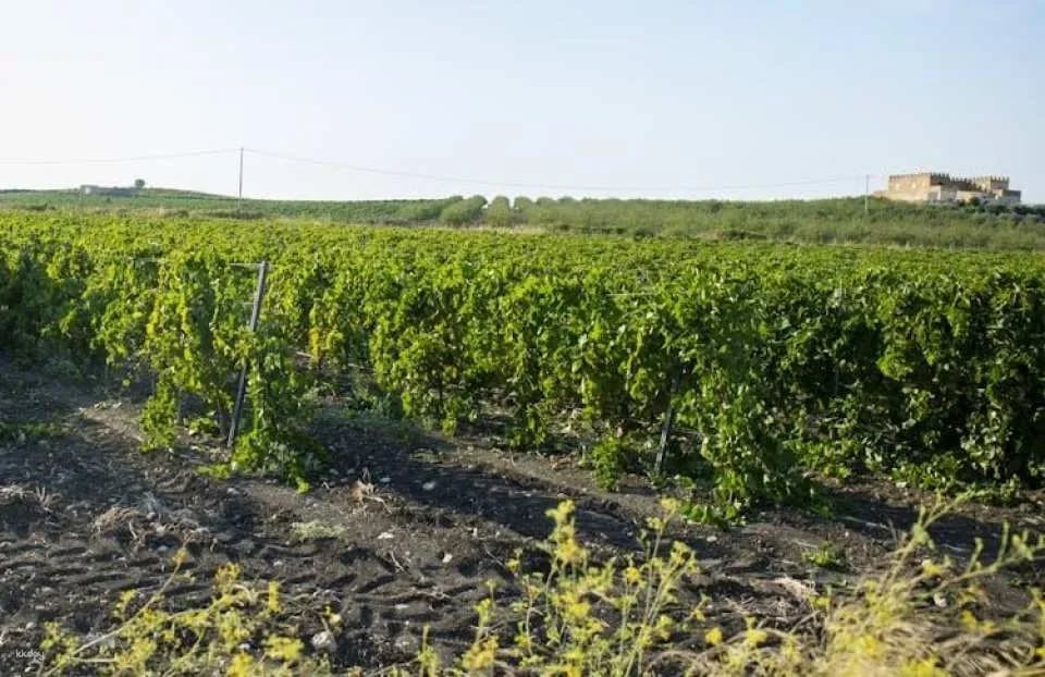 Valley of the Temples tour and tasting of local wines