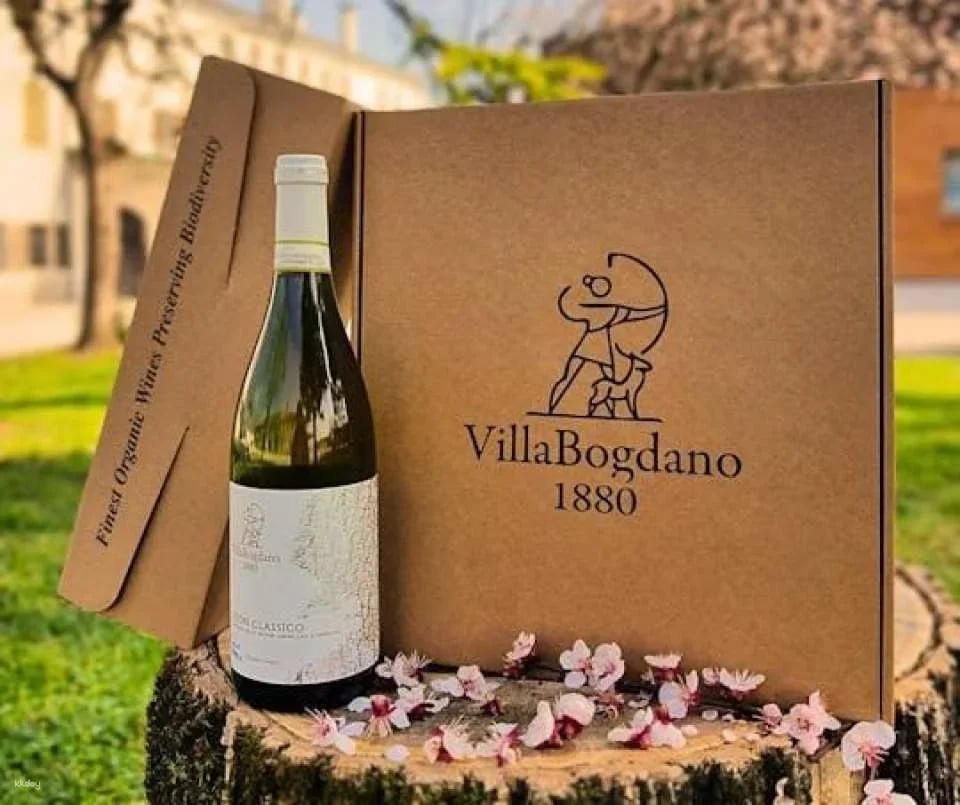Villa Bogdano 1880 Guided Tour with Wine Tasting