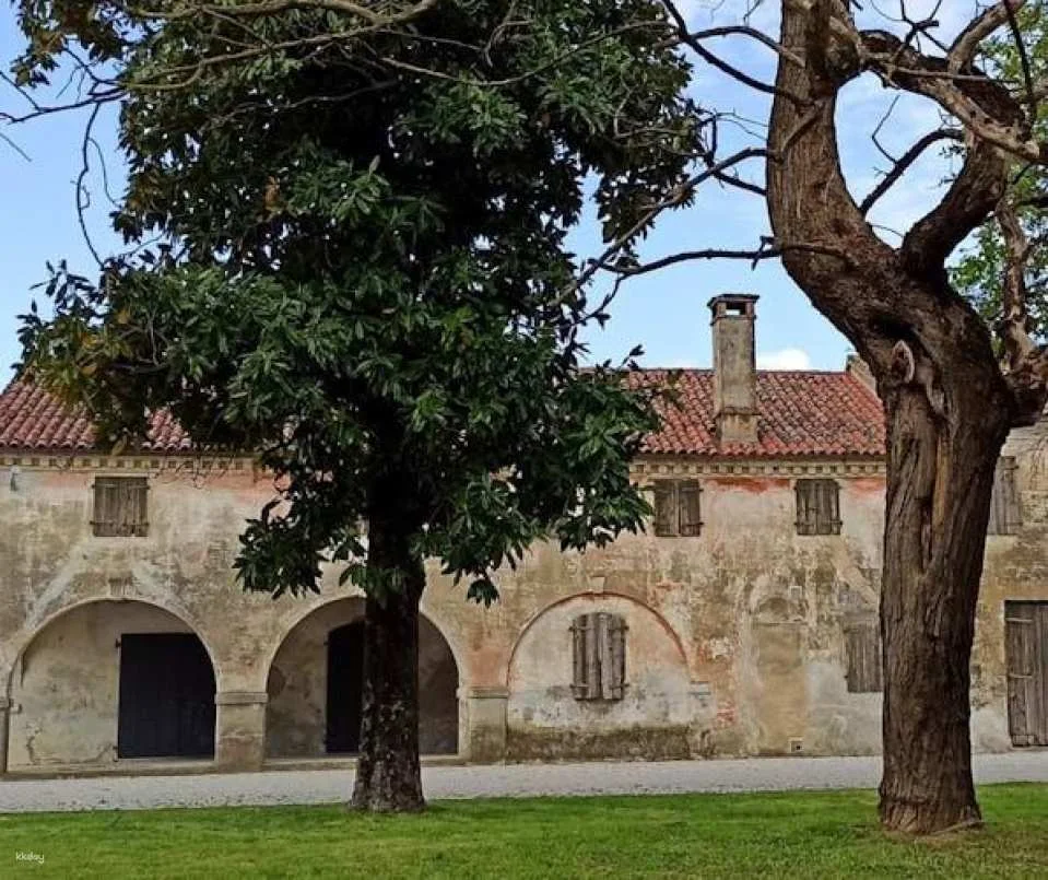 Villa Bogdano 1880 Guided Tour with Wine Tasting