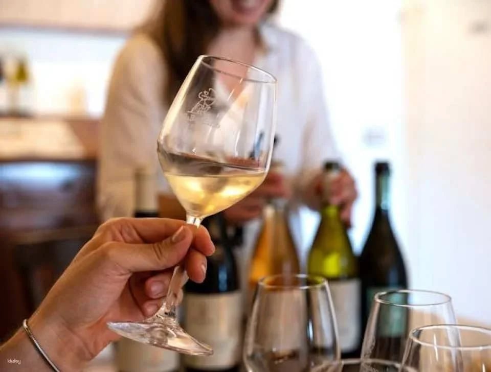 Villa Bogdano 1880 Guided Tour with Wine Tasting