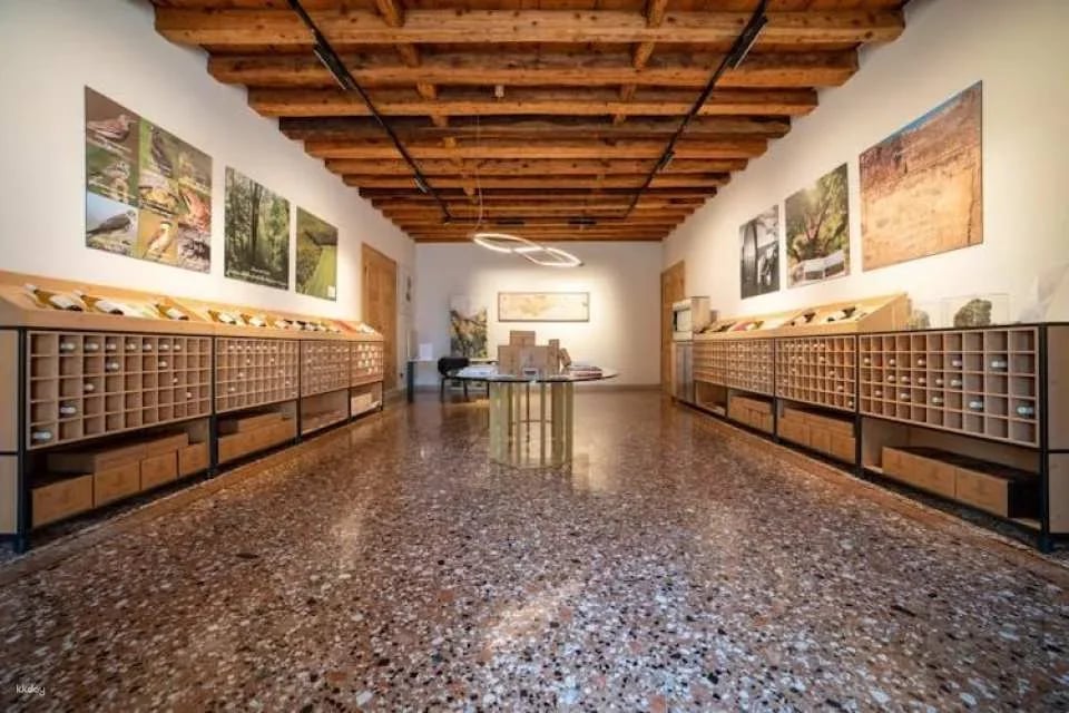 Villa Bogdano 1880 Guided Tour with Wine Tasting