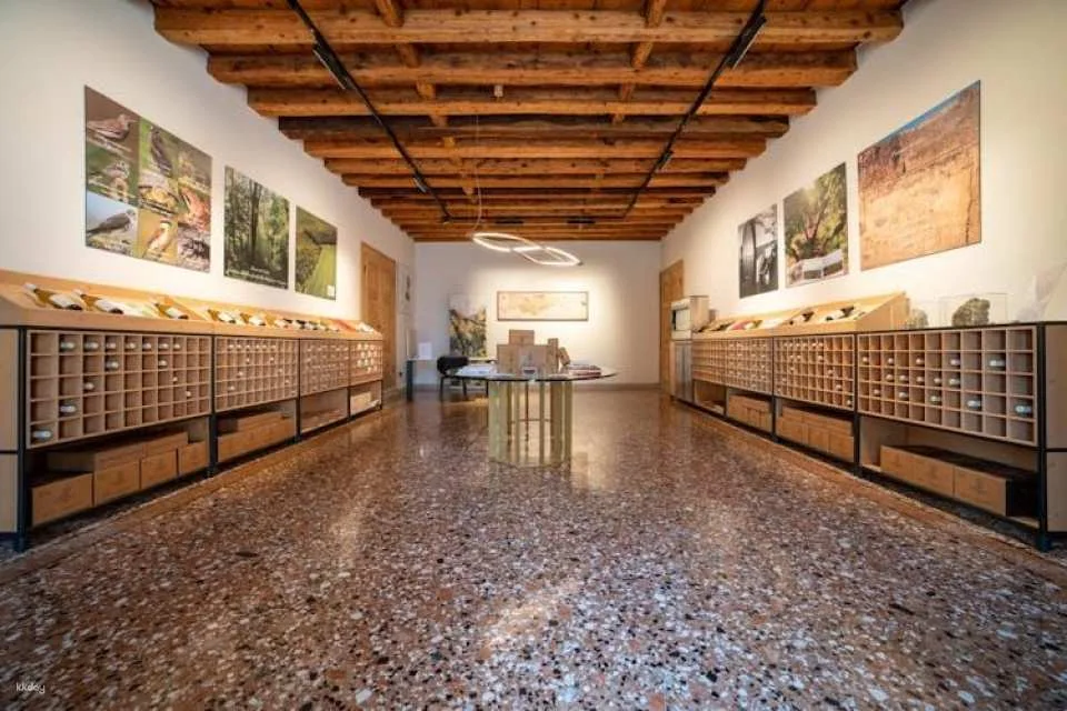 Villa Bogdano 1880 Guided Tour with Wine Tasting