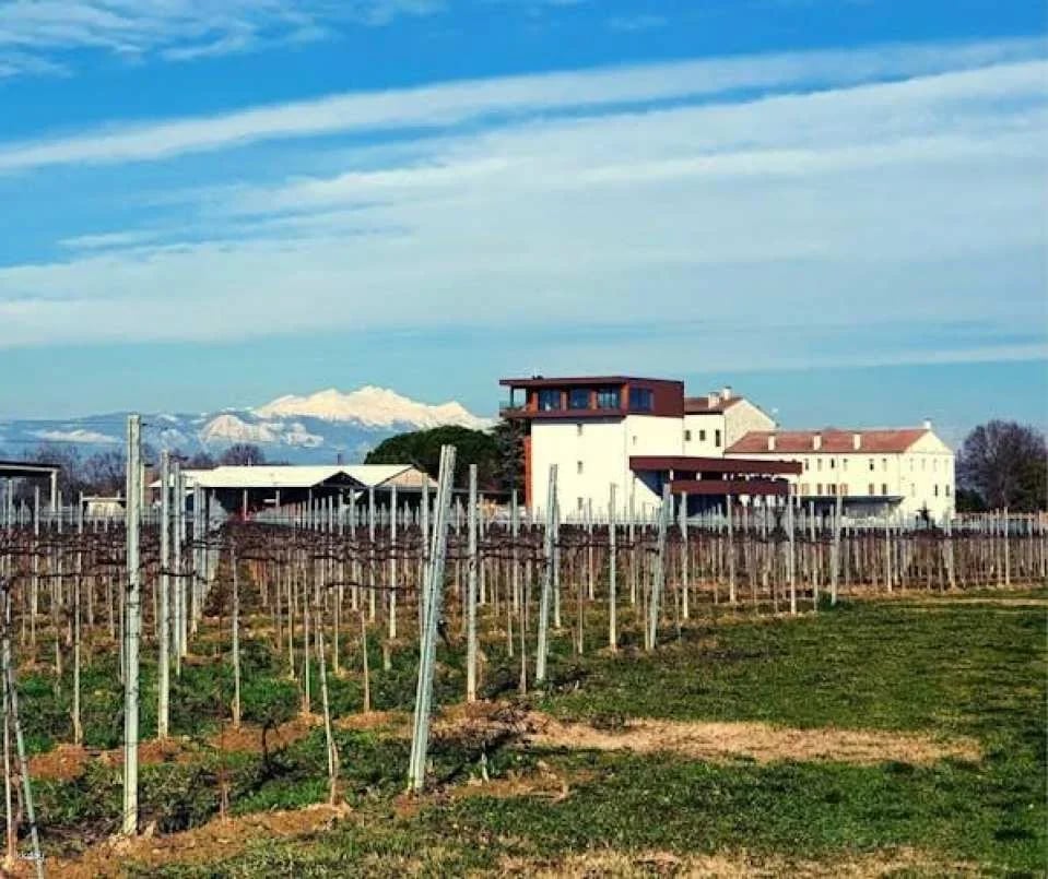 Villa Bogdano 1880 Guided Tour with Wine Tasting