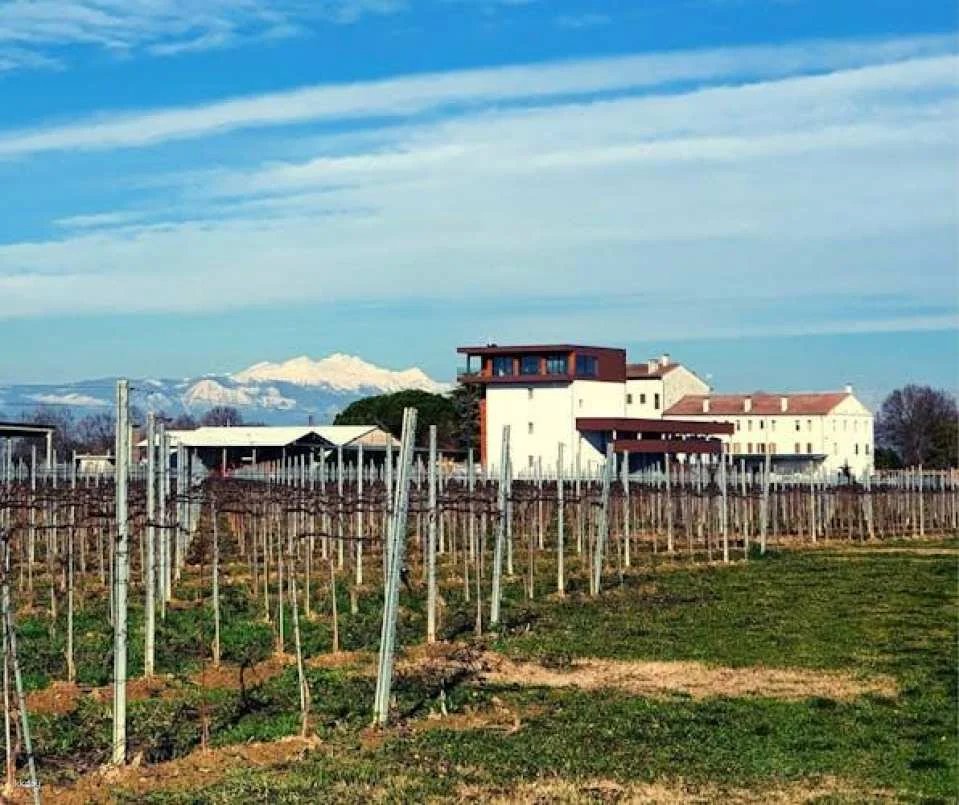 Villa Bogdano 1880 Guided Tour with Wine Tasting