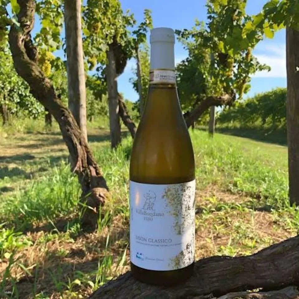 Villa Bogdano 1880 Guided Tour with Wine Tasting