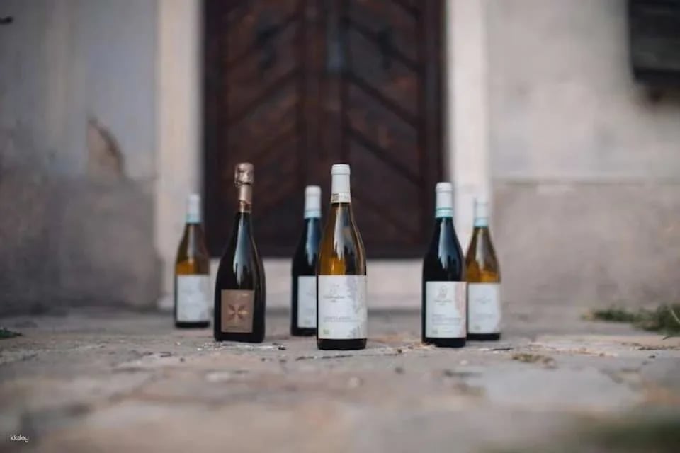 Villa Bogdano 1880 Guided Tour with Wine Tasting