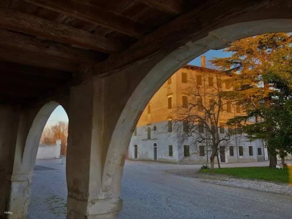 Villa Bogdano 1880 Guided Tour with Wine Tasting