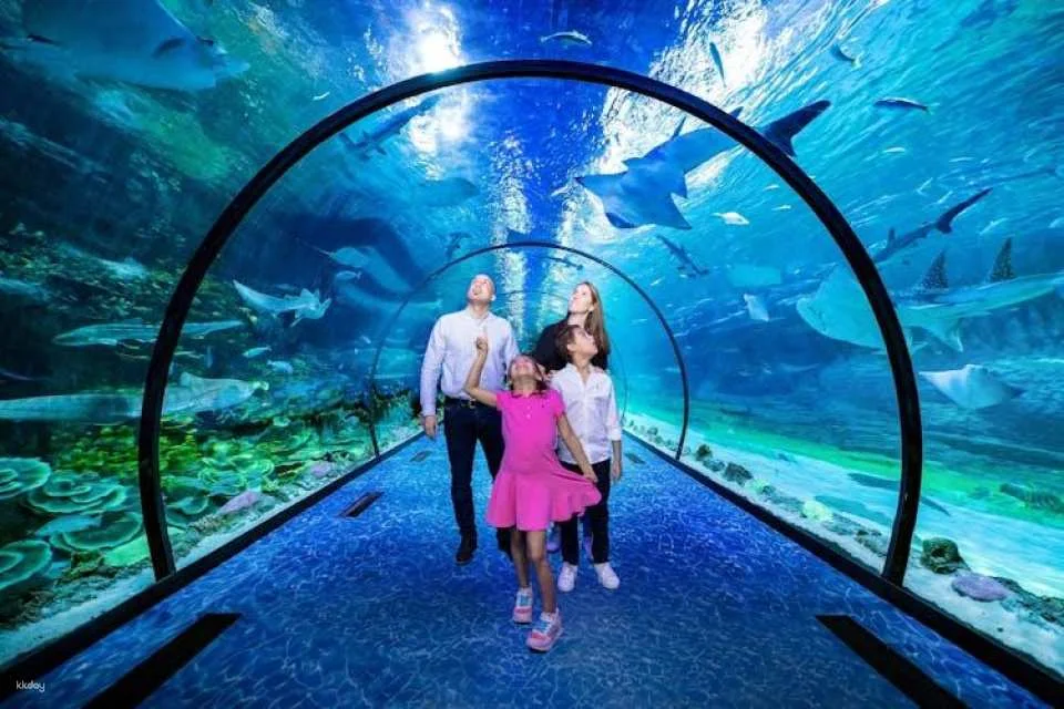 Entrance tickets to The National Aquarium Abu Dhabi