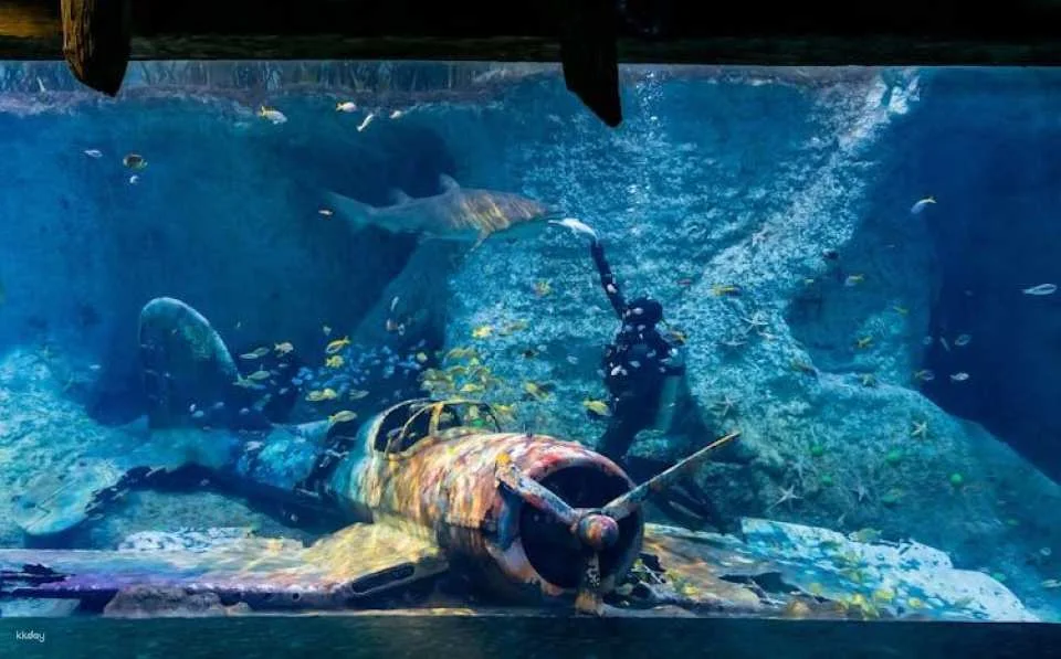 Entrance tickets to The National Aquarium Abu Dhabi
