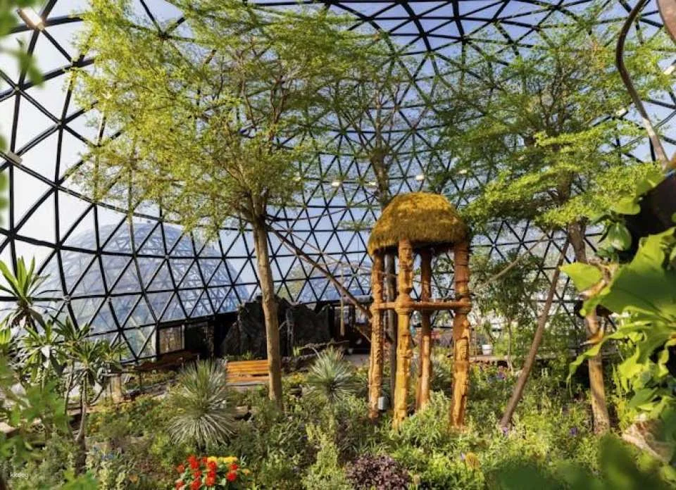 Entrance tickets to The National Aquarium Abu Dhabi