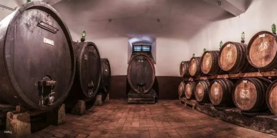 Chianti wine tour, the 5 nuances of Tuscan red
