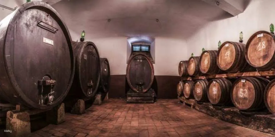 Chianti wine tour, the 5 nuances of Tuscan red