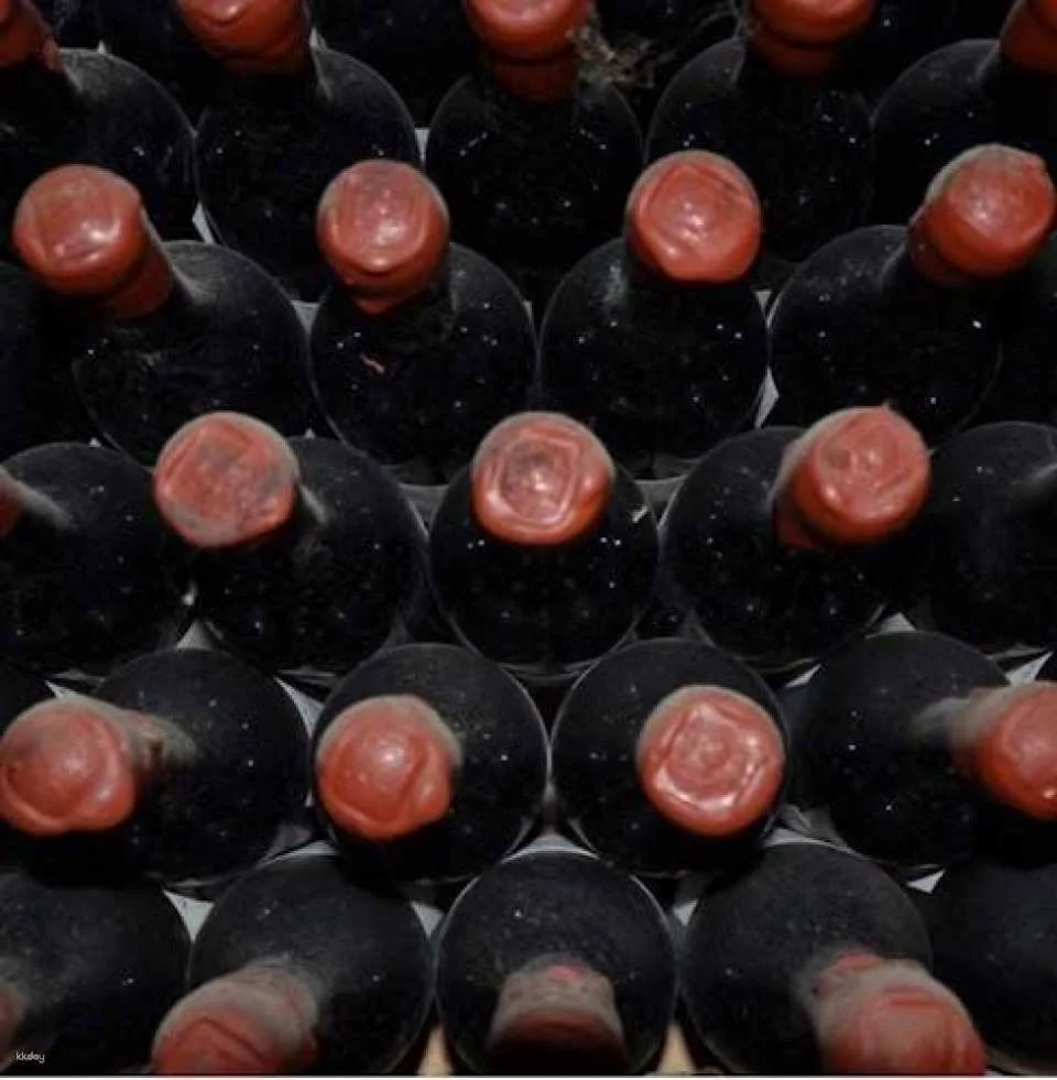 Chianti wine tour, the 5 nuances of Tuscan red