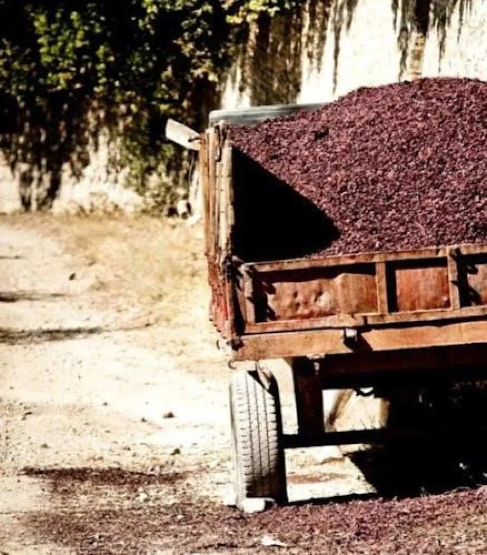 Chianti wine tour, the 5 nuances of Tuscan red