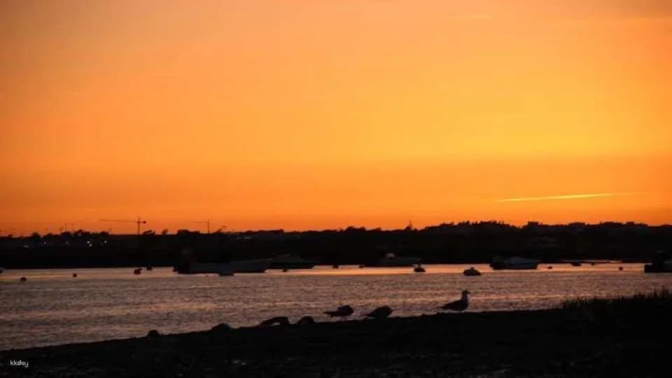 Ria Formosa sunset boat tour from Faro